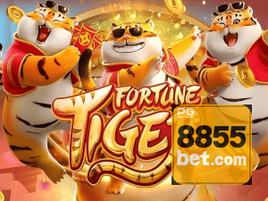 Guia install APK 8855BET BR