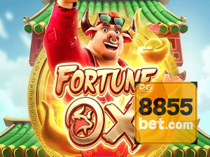8855BET login — painel de entrada no app oficial
