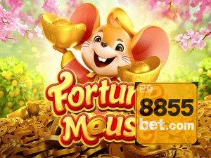 8855BET login — configurações de segurança e proteção de conta
